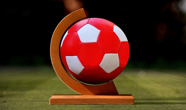 施提供了科 施提供了科