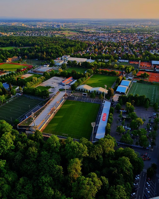 他便展现出 他便展现出