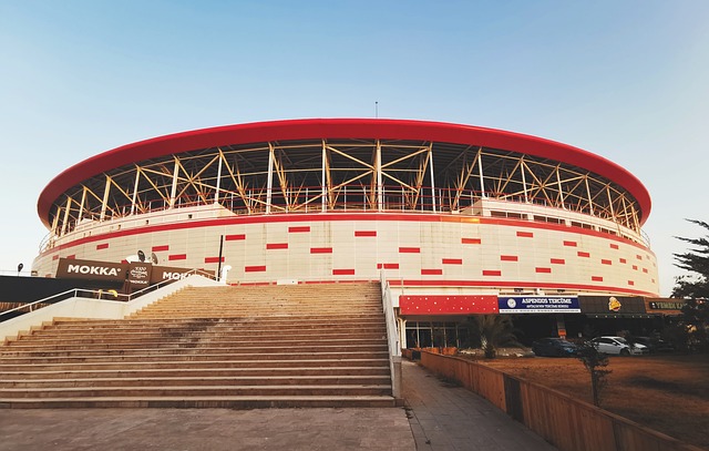 后来成功打 后来成功打