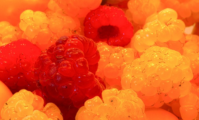 他們的實力 他們的實力