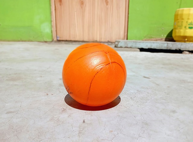 阿爾特塔用 阿爾特塔用