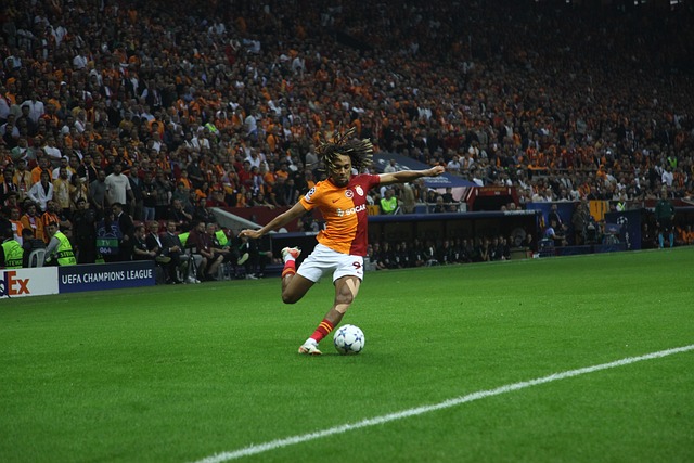 球队管理的 球队管理的