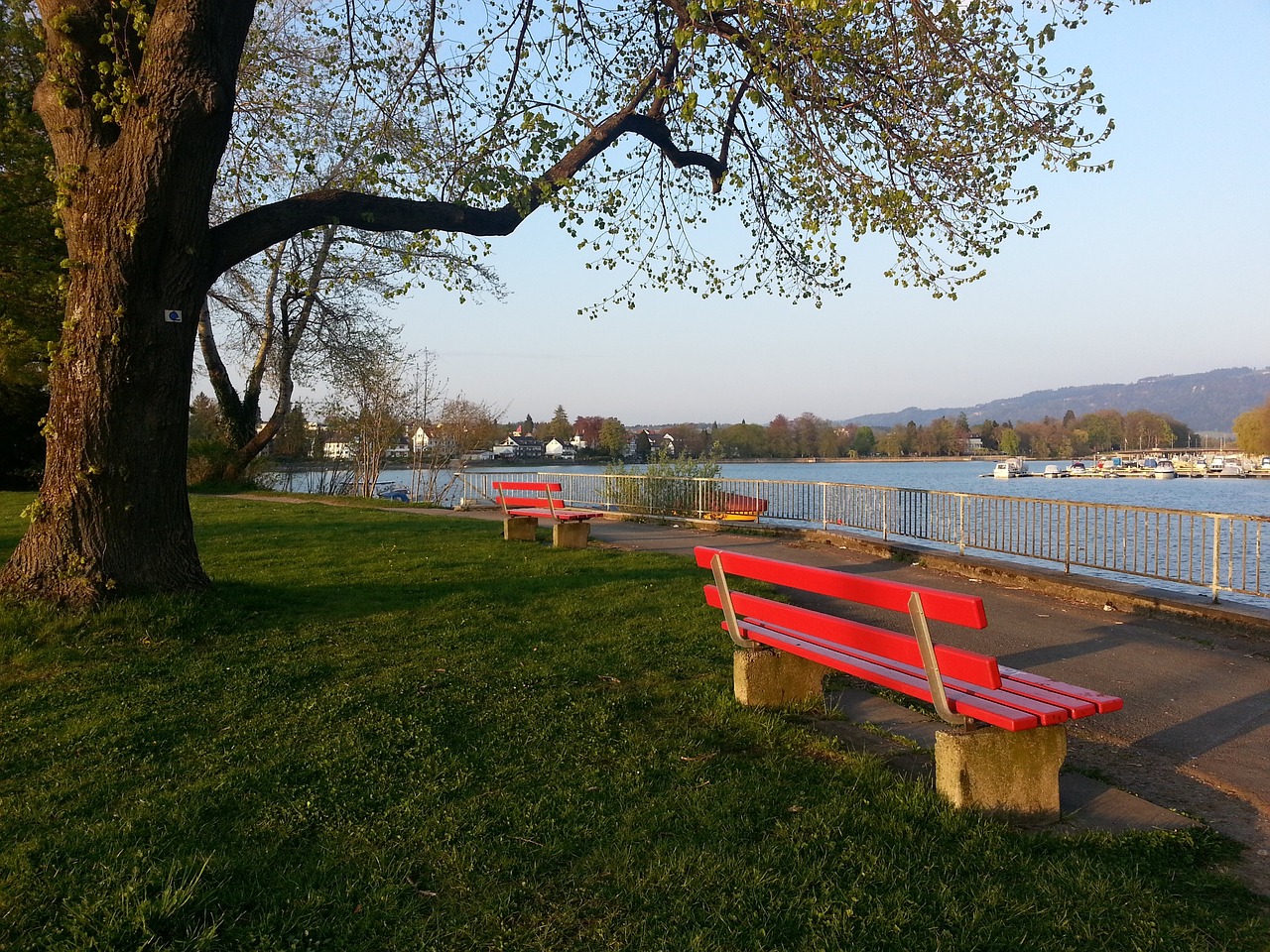 具备极高的 具备极高的