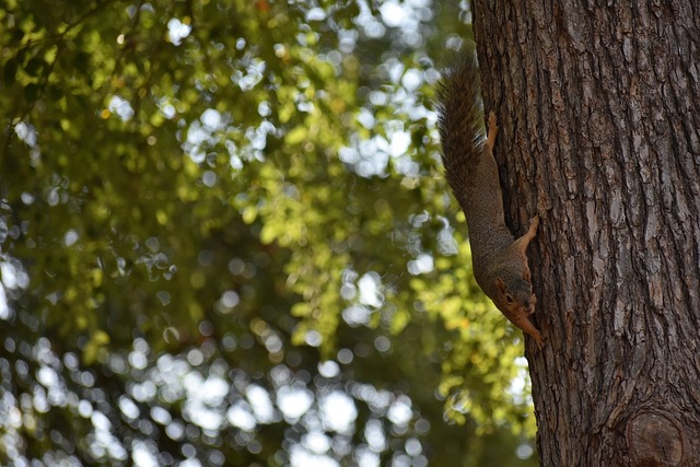 讓一些人質 讓一些人質