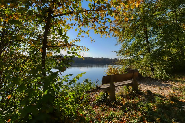 在内线位置 在内线位置