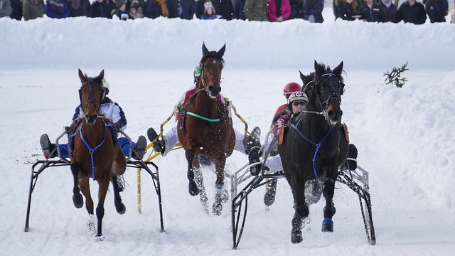 大问题便是 大问题便是