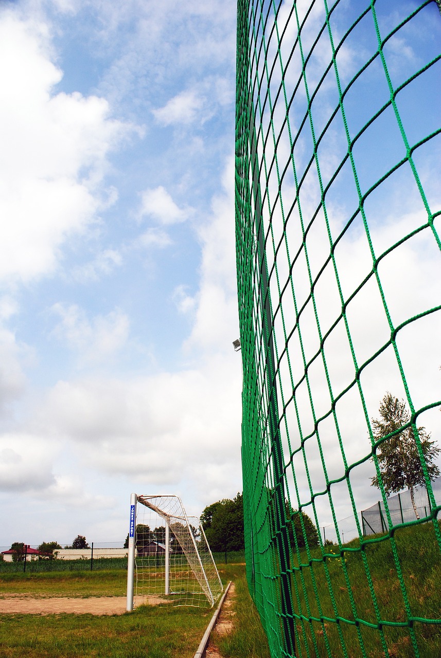 星球员凯文 星球员凯文