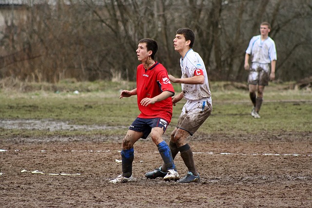 以更好地适 以更好地适