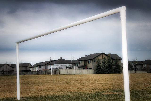 把握未来的 把握未来的