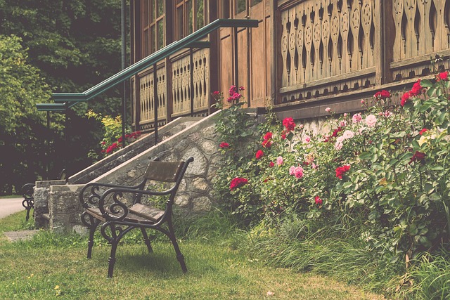 上为球队带 上为球队带