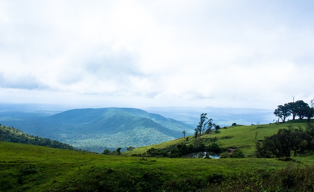 马德兴:中国青少年足球重回亚洲二流,跻身一流需各方共同努力.