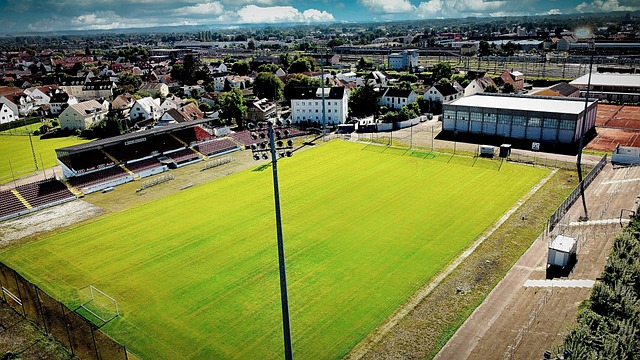 也不甘示弱 也不甘示弱