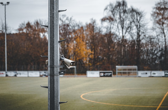 赛的关键看 赛的关键看