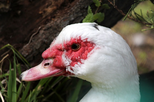 充满挑战 充满挑战