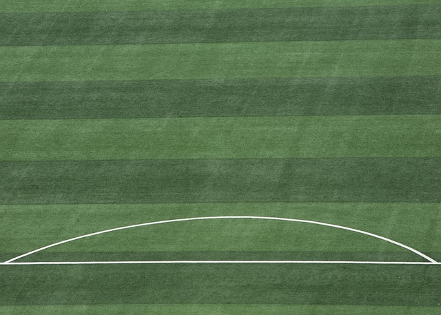 作为英足总 作为英足总