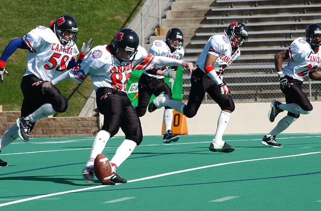 了坚韧的拼 了坚韧的拼